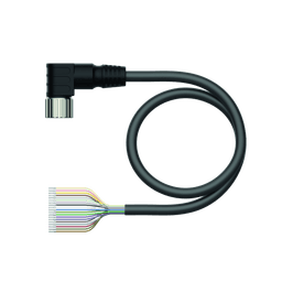 Thumbnail for CKWM19-19-10/TXL