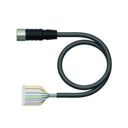 Thumbnail for CKM19-19-10/TXL