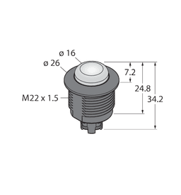 Thumbnail for S22LGRYPT