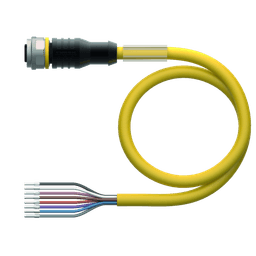 Thumbnail for RKC8T-2/TXY