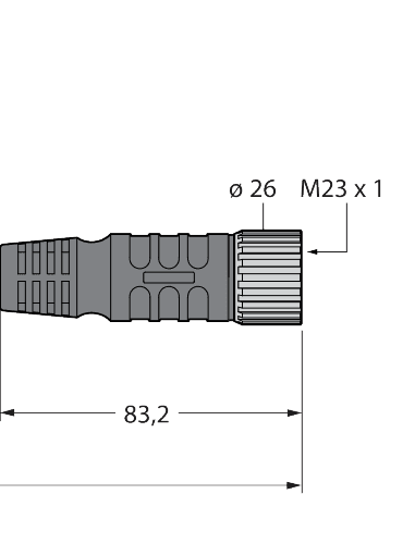 CSSM CKM 19-19-2/S101